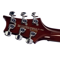 Paul Reed Smith 30th Anniversary SE Custom 24 - Chestnut - Birds and Quilted Maple Top - USED PRS Electric Guitar!