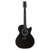 2006 Rainsong WS1000 Grand Auditorium Cutaway - Graphite Composite Carbon Fiber Acoustic / Electric Guitar - USED