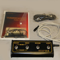 Tubewonder Harmonic Control Amplifier Head w/Reverb and 2x12 Cabinet